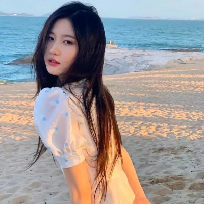 花与爱丽丝