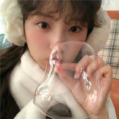 我的老婆是只猫
